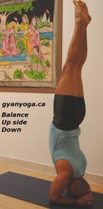 activ_yoga