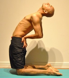 Camel.Pose