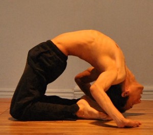 Camel_Pose