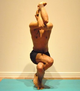 Eagle.Pose