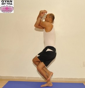 Eagle.Pose