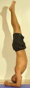 Elbow.Stand.Pose
