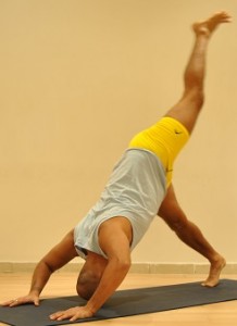 three_legged-dog