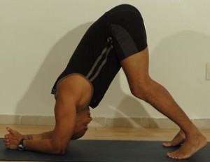 Head.Stand.Prep