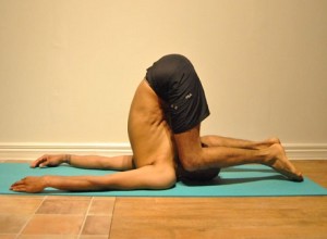 Plough.Pose.variation