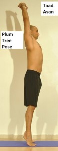 Plum.Tree_Pose