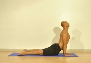 Upward.Dog