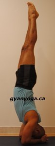 active-yoga