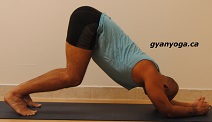 active-yoga-toronto