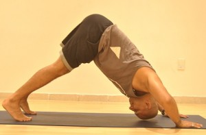 Downward.Dog.Push.Up