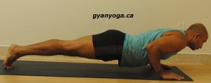 low-plank