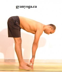Forward.Fold.Pose