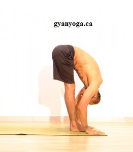 Hot.yoga.in_Toronto