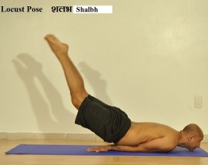 Locust.Pose