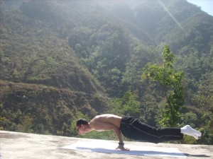Peacock.pose