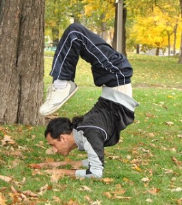 Scorpion
