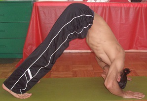 Shoulder Strength