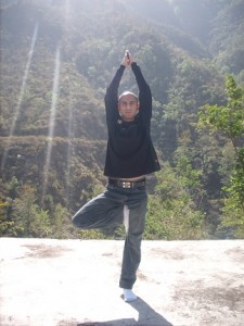 Tree.Pose